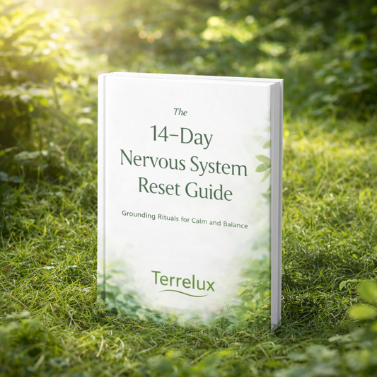 The 14-Day Nervous System Reset Guide